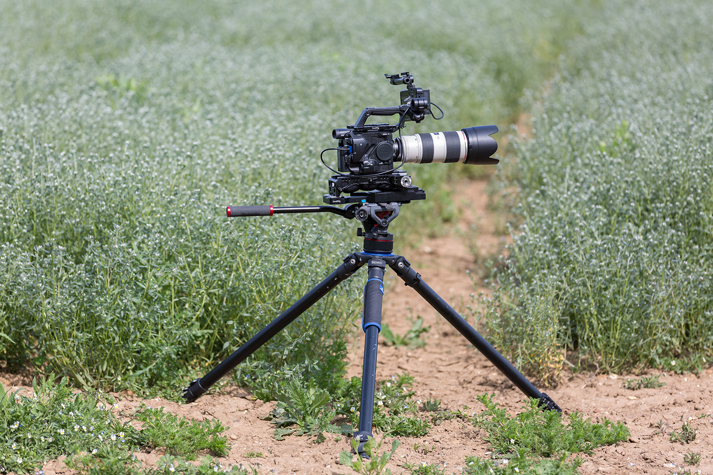Agricultural videography